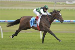 Tear Gas on trial for Queensland Oaks